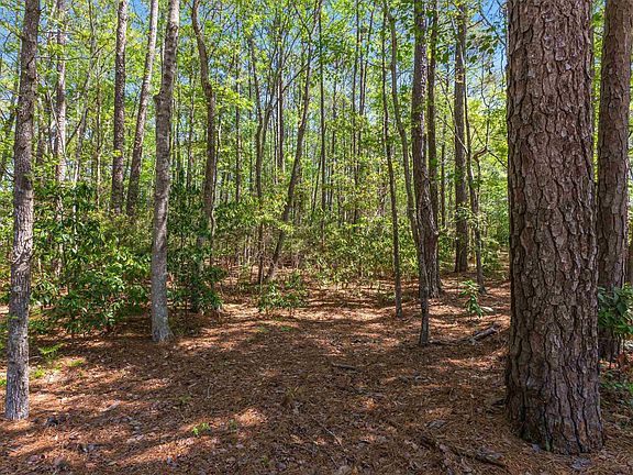 5th image of 53 Sunfield Dr.