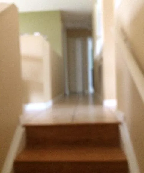 3313 Chica Cir — Photo 8
