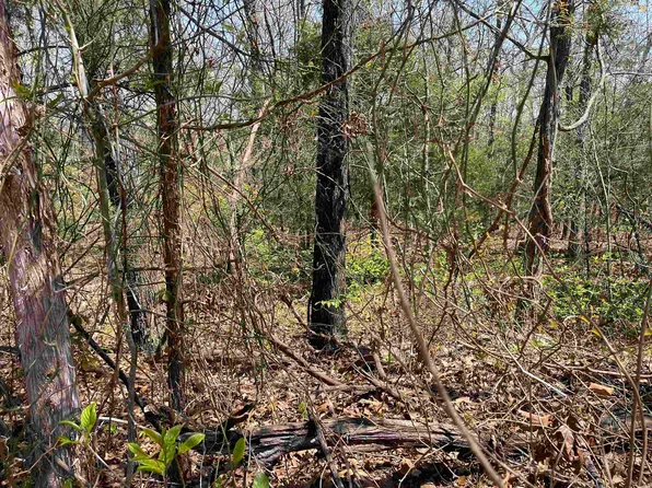 1305 E Indiana Ave, Horseshoe Bend, AR 72512