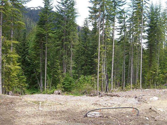 2nd image of Xxx Kachess Lake Rd