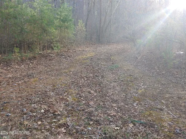 Mill Creek Rd, Sunbright, TN 37872