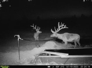 W Parrott Creek Rd, Roundup, MT 59072