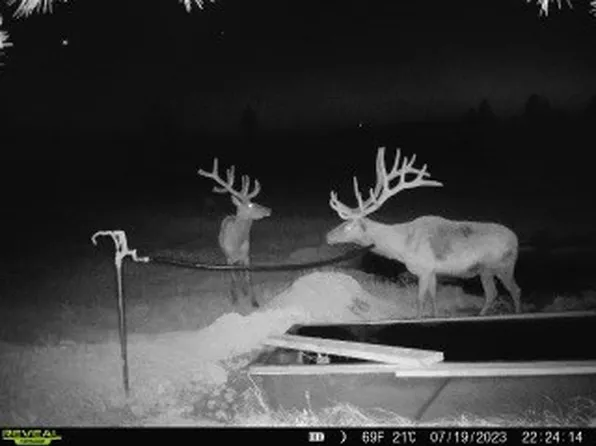 W Parrott Creek Rd, Roundup, MT 59072