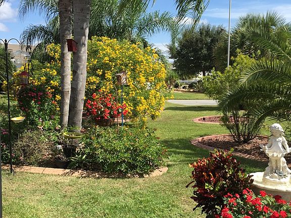 mature landscaping/borders