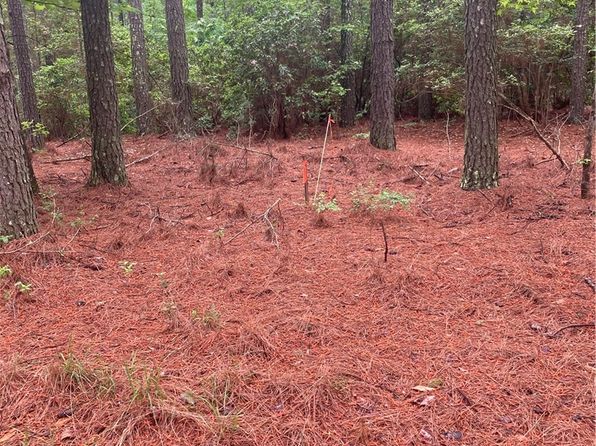0 Wilcox Neck Rd, Charles City, VA 23030