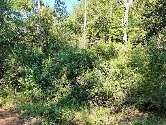 2nd image of Dillion Rd