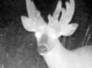 Greenwood, Kenockee, MI 48006