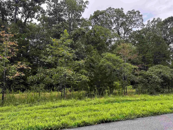 LOT 65 Cobalt Bay Dr Lot 65, Shirley, AR 72153