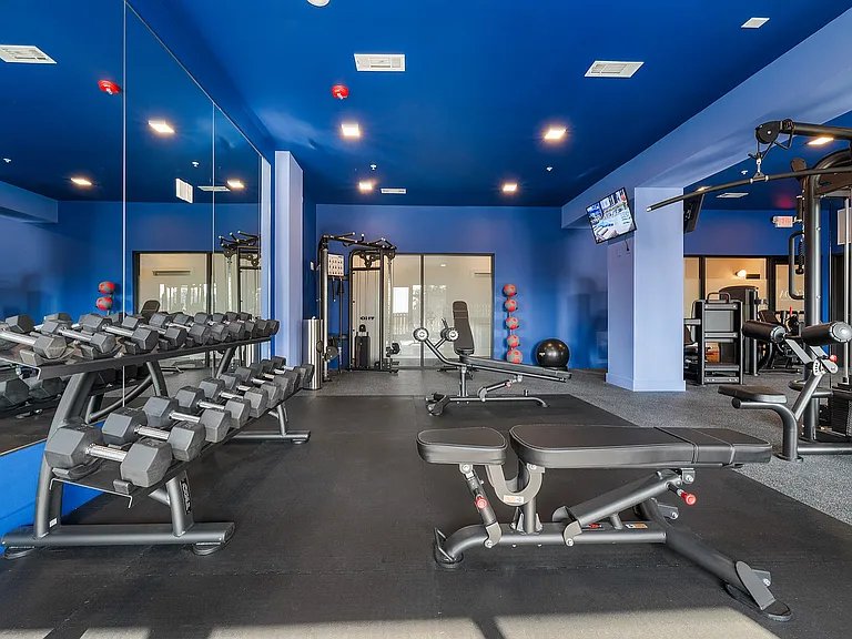 Gym free weights