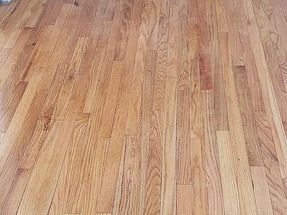 4th image of 1028 Pacific St APT 1