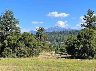 8 Bristlecone Dr, Pagosa Springs, CO 81147