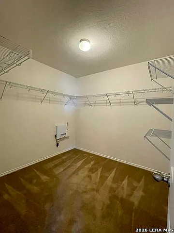 8635 Silver Willow — Photo 18