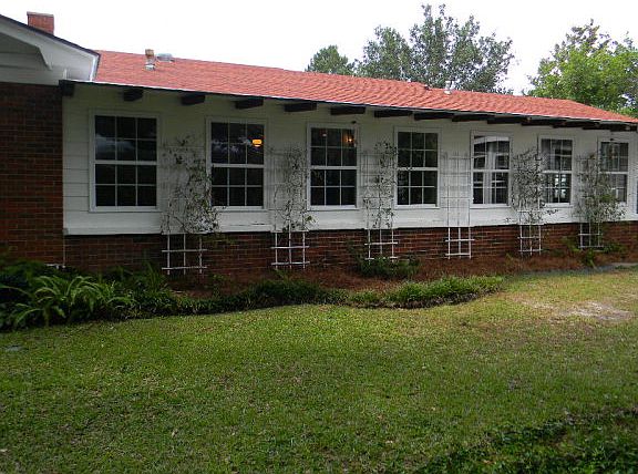 5th image of 701 Pineridge Dr