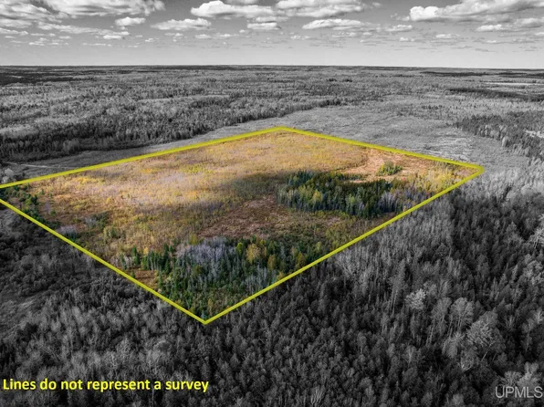 Off Kingsley 1 Ln, Cornell, MI 49818