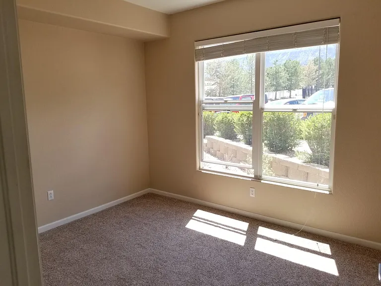 555 Cougar Bluff Point #101 — Photo 23