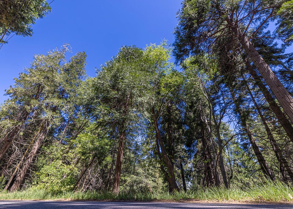 1st image of LOT 78 Cedar Pines Dr