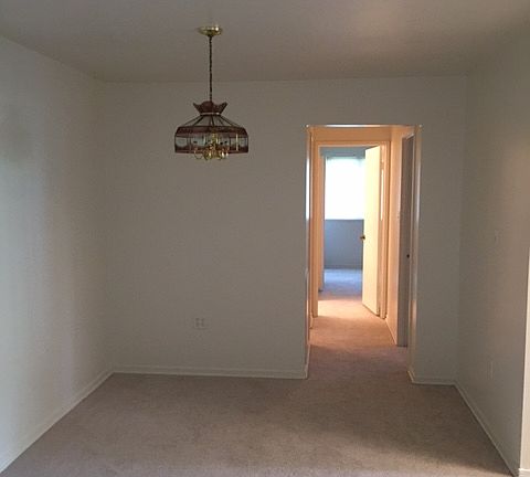 5th image of 8709 Hayshed Ln