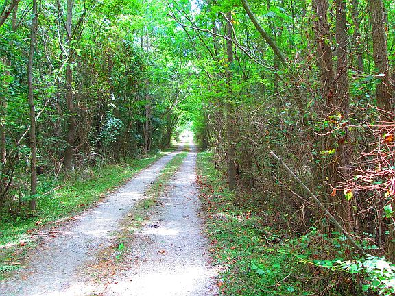 Main Drive