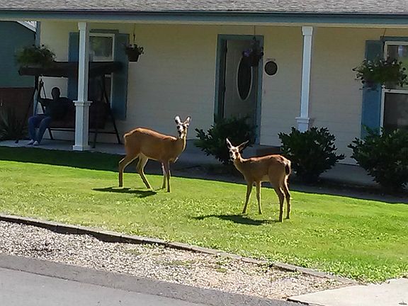 Frequent Visitors!