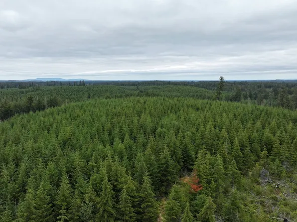 0 xxx E Bertlesen Rd, Shelton, WA 98584