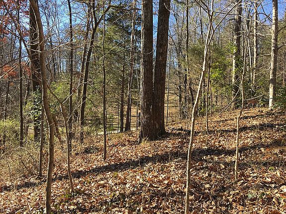 Property view toward west