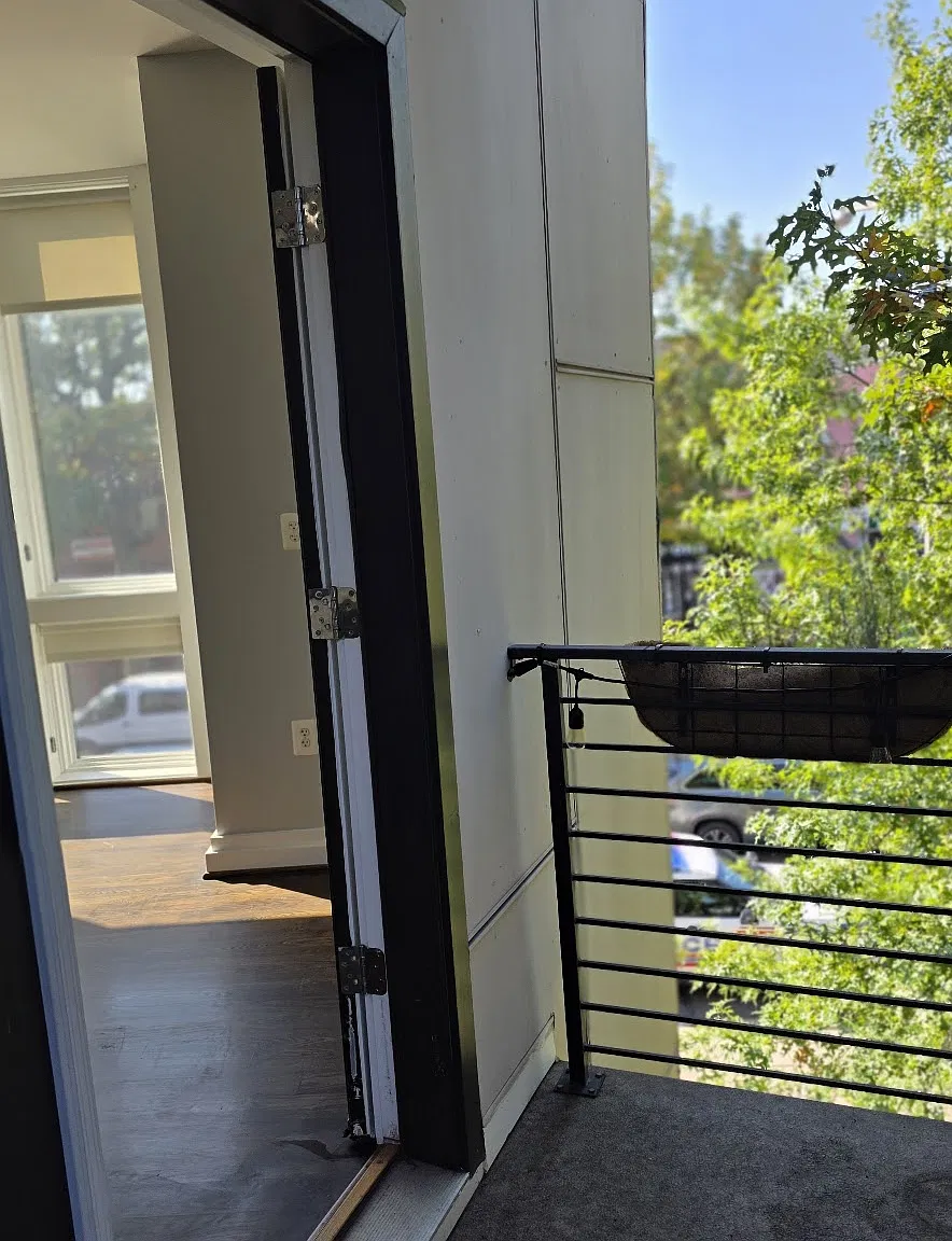3 bed, $3,200 — Photo 2
