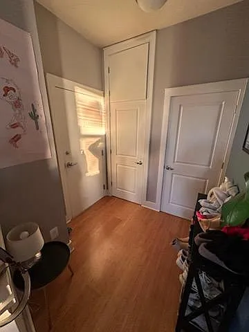 650 S Mill St #311 — Photo 3