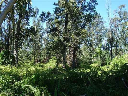 1st image of Malolo St Lot 1059
