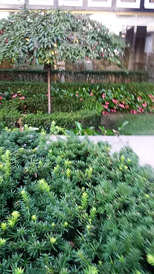 Rented by Morgan Rose Realty LLC | media 2