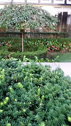 Rented by Morgan Rose Realty LLC