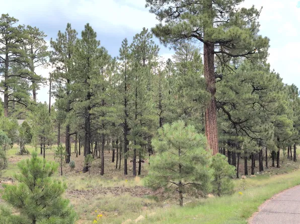 45 & 46 Katies Way, Happy Jack, AZ 86024