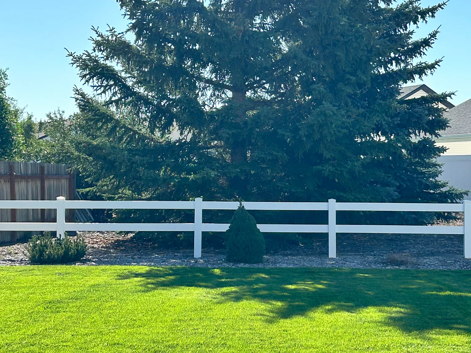 3 bed, 1.5 bath, 1100 sqft, $1,100 — Photo 3