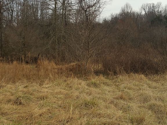 3rd image of 6377 Old Duhollow Ct