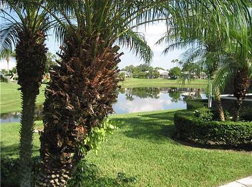 Beautiful view from the screened lanai