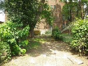 rear yard