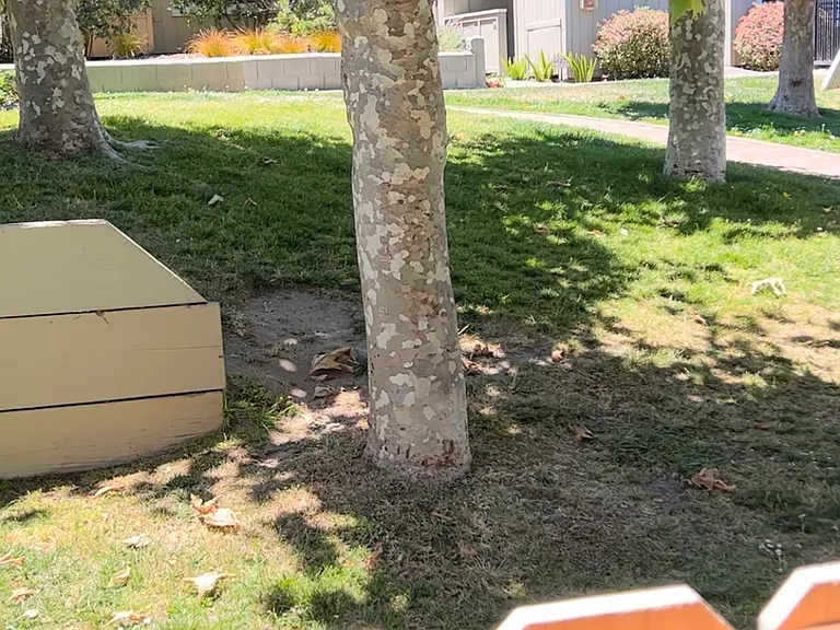 820 Casanova Ave #41 — Photo 9
