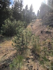 Trinity Crk, Mountain Home, ID, 83647