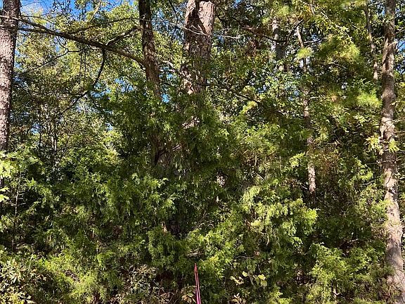 4th image of Unk Blossom Lane Unk Polk Rd #63