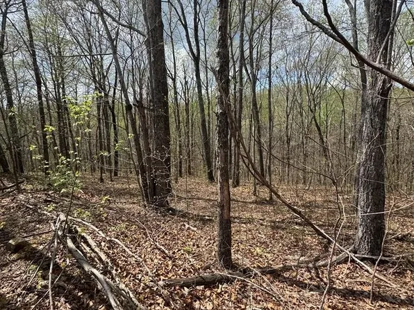 345 Drew Ct #345, Smithville, TN 37166