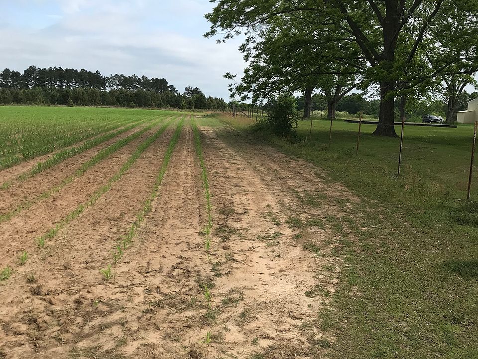 2nd image of County Road 32
