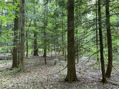 White Rd, Parish, NY, 13131