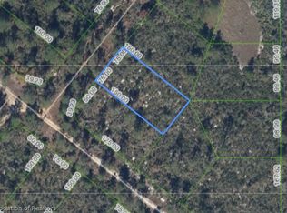 203 Dewolf Ave, Lake Placid, FL 33852