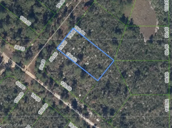 203 Dewolf Ave, Lake Placid, FL 33852