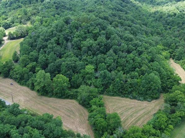 1 Gray Gap Rd, Burkesville, KY 42717