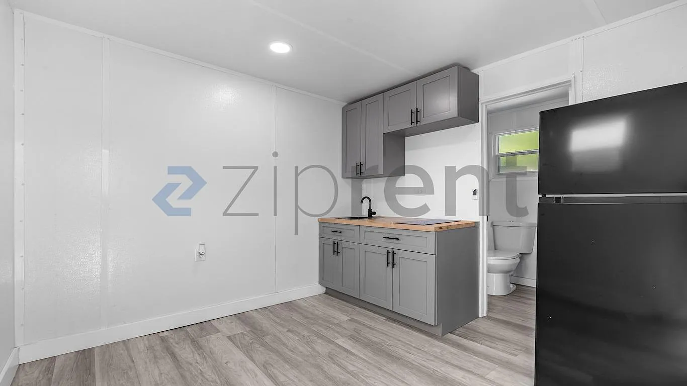 1 bed, 250 sqft, $1,300 — Photo 4