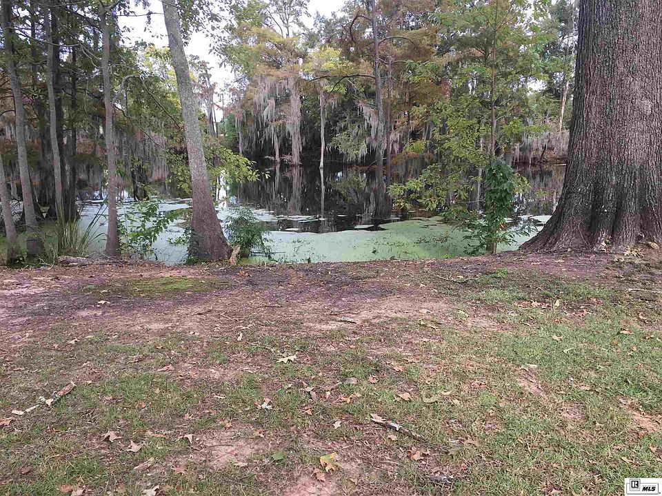 2nd image of 915 Fortune Dr
