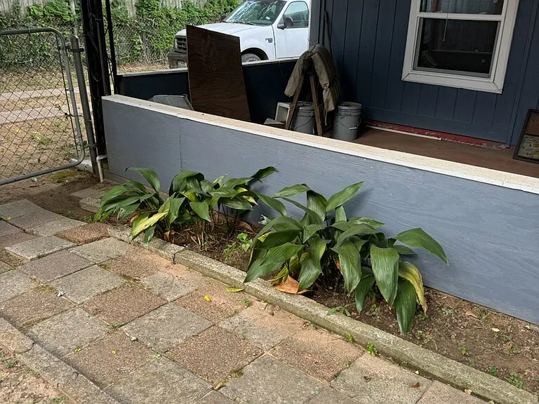 Covered patio