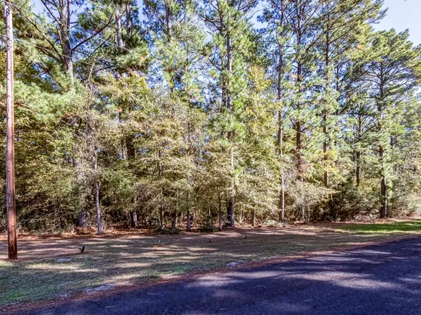 Mockingbird Hls Lot 503, Livingston, TX 77351