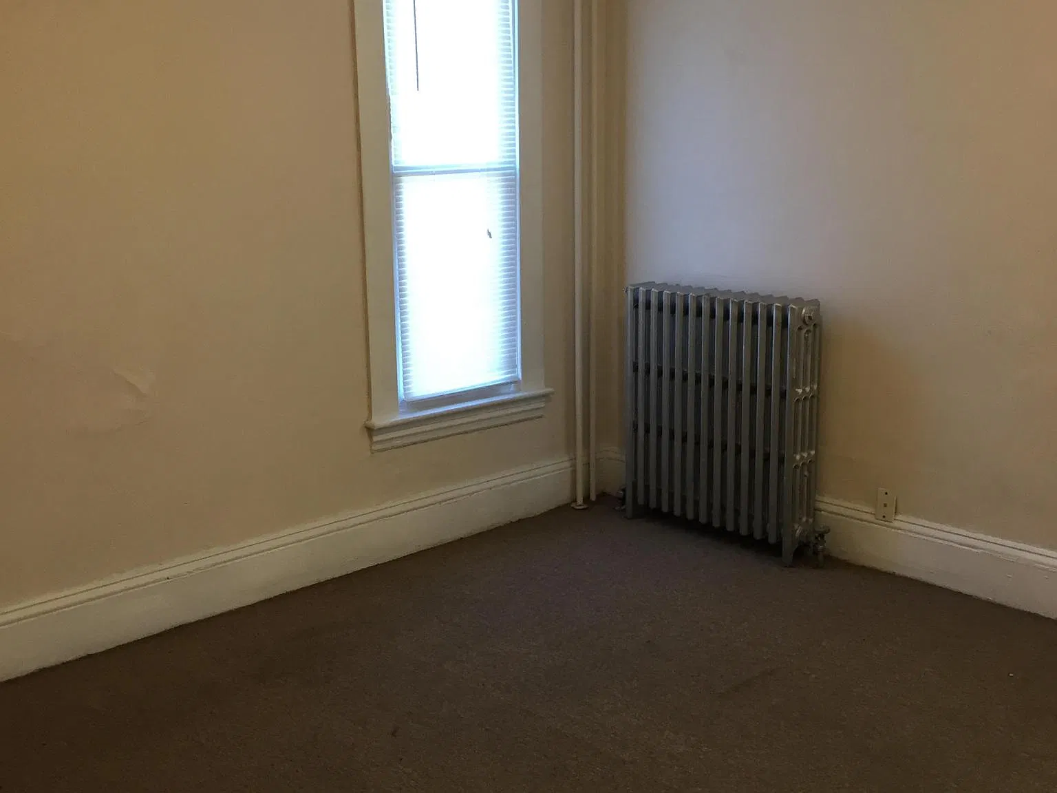 Studio, $1,095 — Photo 4