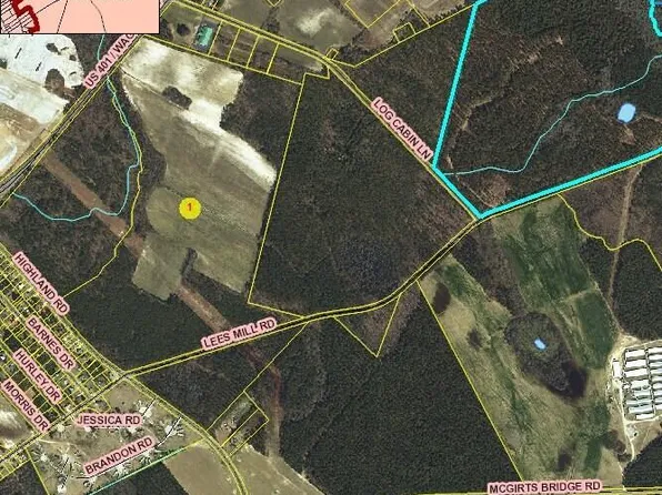 Tr 4 Wagram Road, Laurel Hill, NC 28351